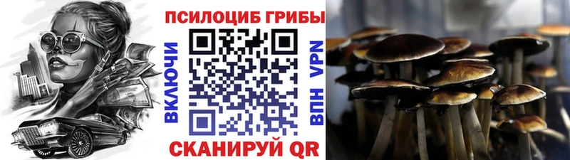 Псилоцибиновые грибы прущие грибы  Галич 